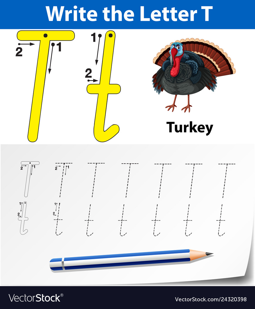 Letter T Tracing Alphabet Worksheets Royalty Free Vector