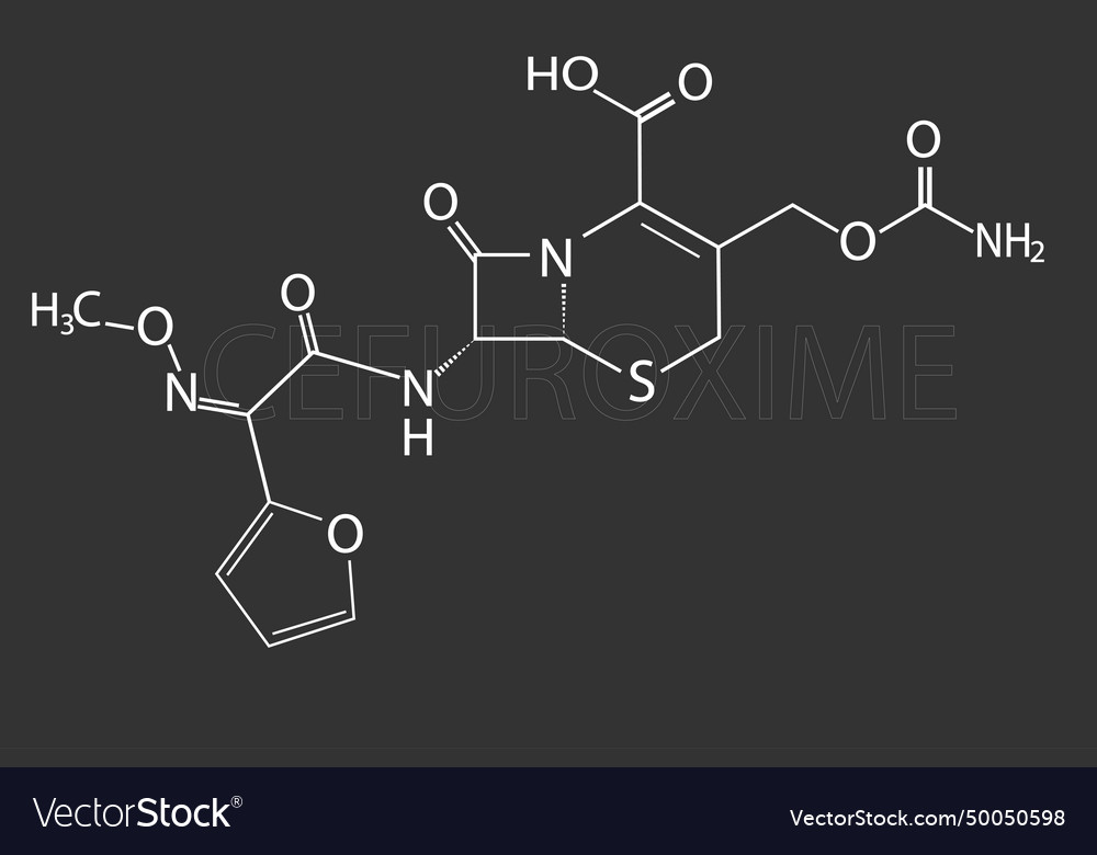 Cefuroxime Molecular Skeletal Chemical Formula Vector Image