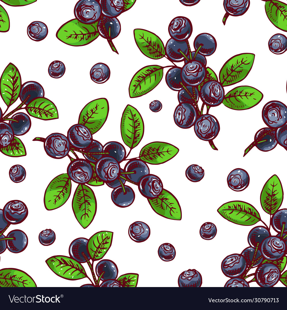 Seamless Blueberry Royalty Free Vector Image VectorStock