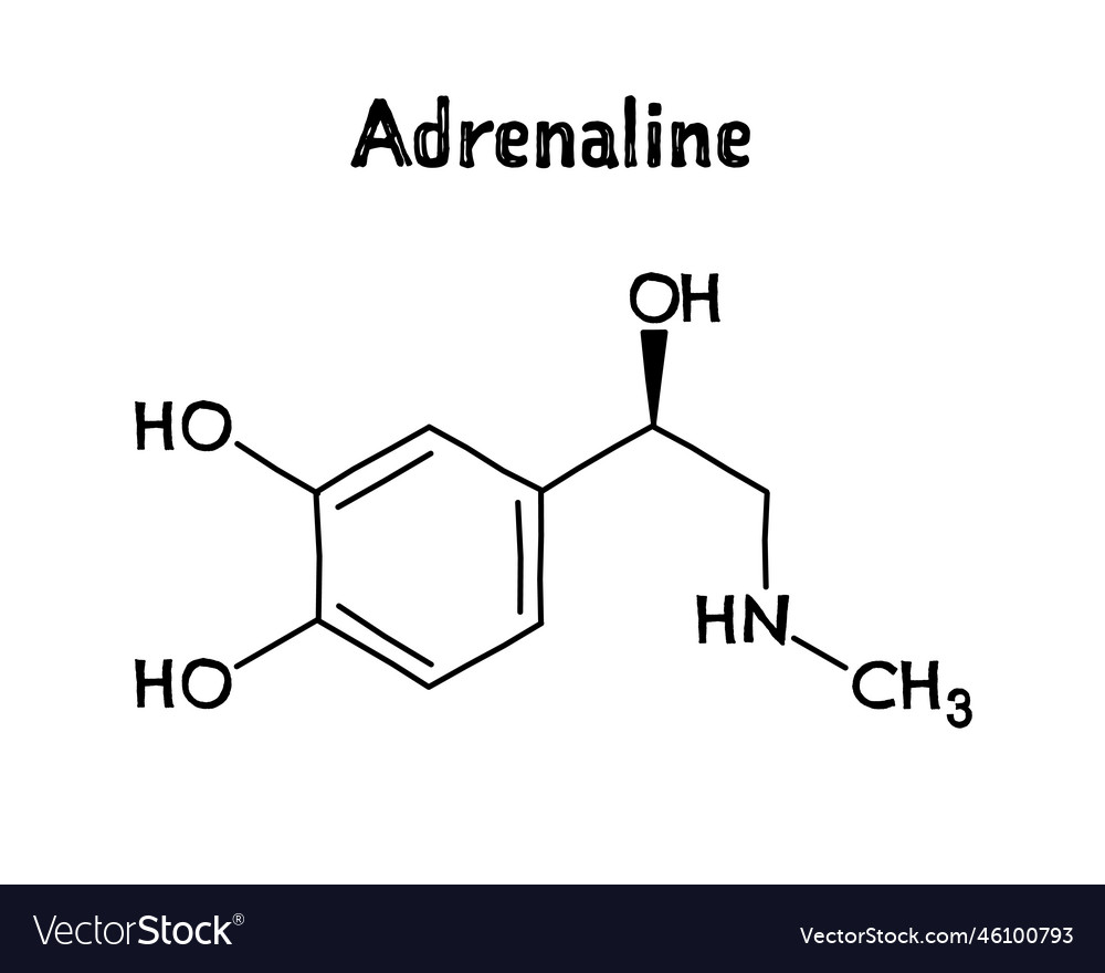 Adrenaline Structural Formula Of Molecular Vector Image