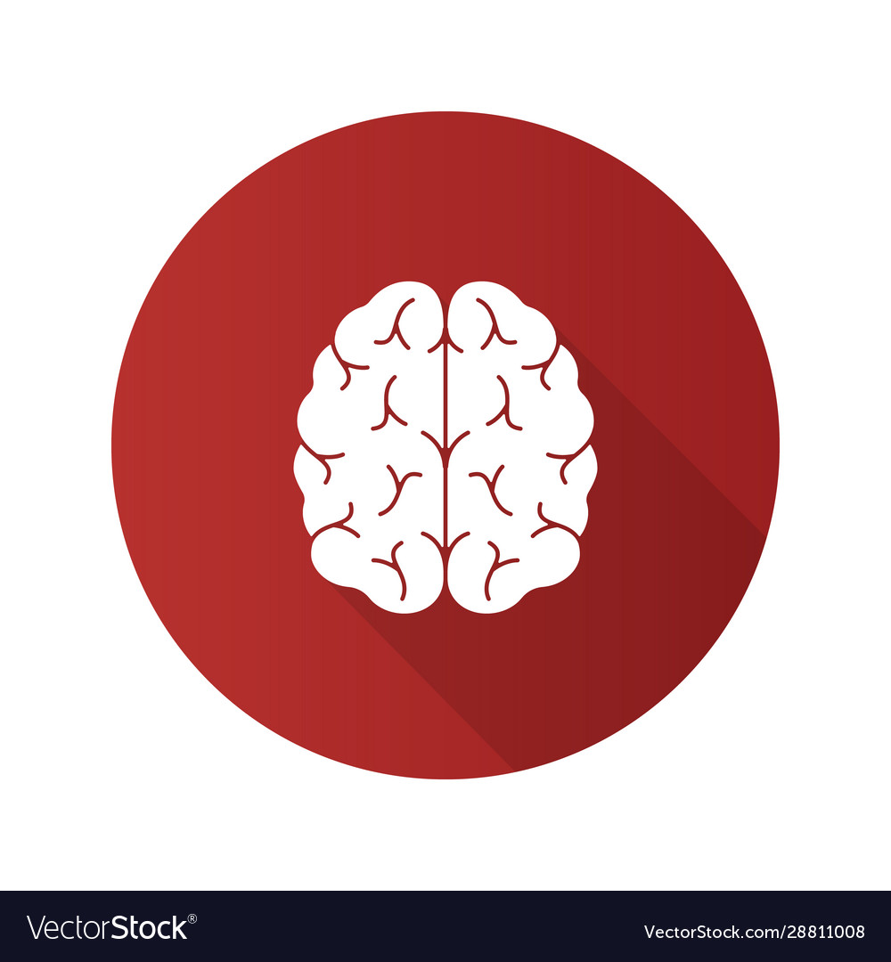 Human Brain Flat Design Long Shadow Glyph Icon Vector Image