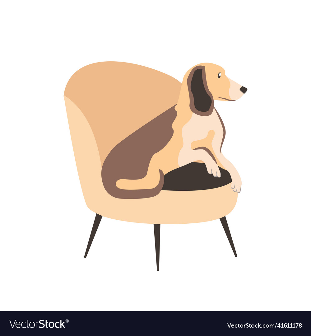 Flat Of A Pet On An Armchair Royalty Free Vector Image