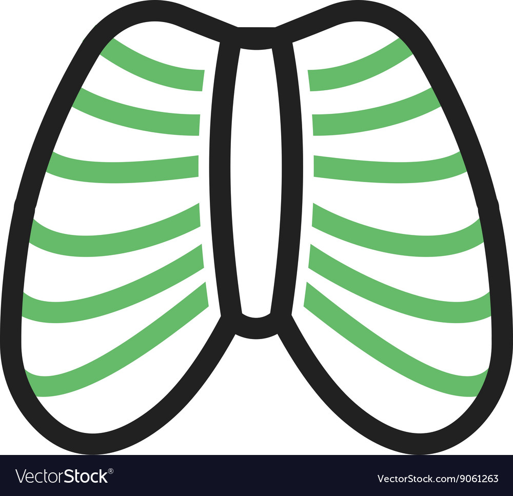 Ribcage Royalty Free Vector Image Vectorstock