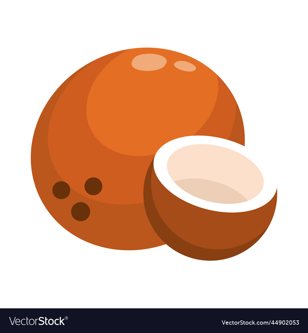 Coconut Fruit Food Royalty Free Vector Image VectorStock