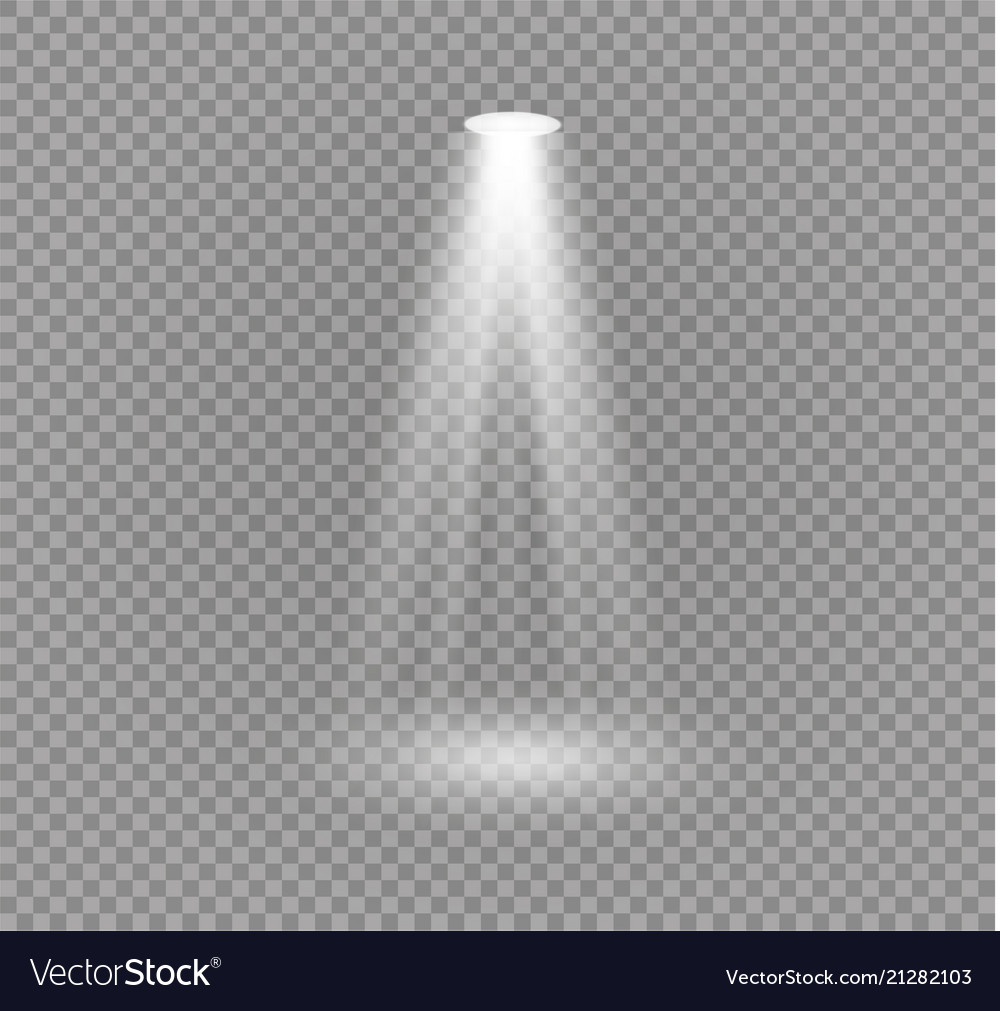 Set Of Golden Glowing Lights Effects Isolated Vector Image