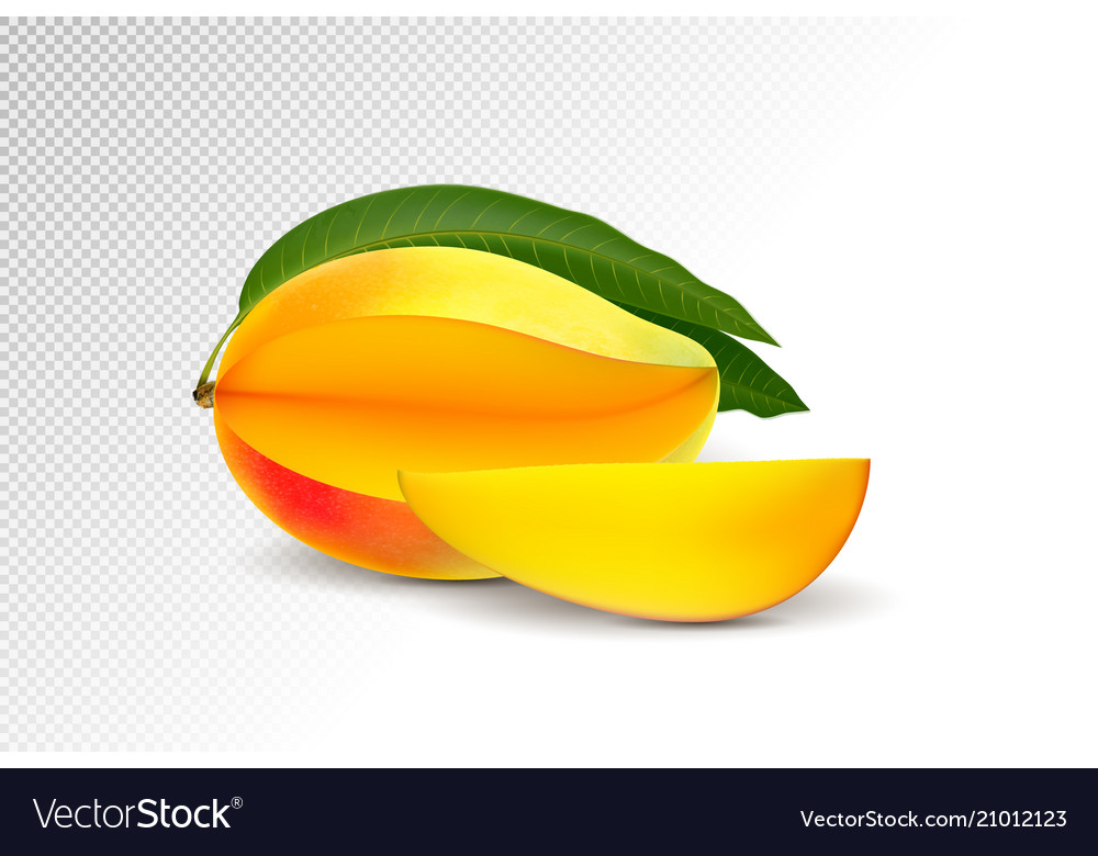 Photo Realistic Mango Royalty Free Vector Image