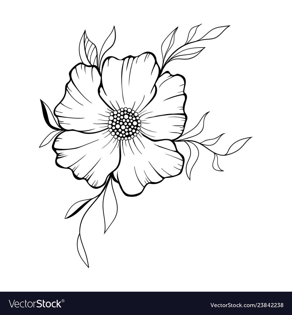 Hand Drawn Floral Doodle Background Royalty Free Vector