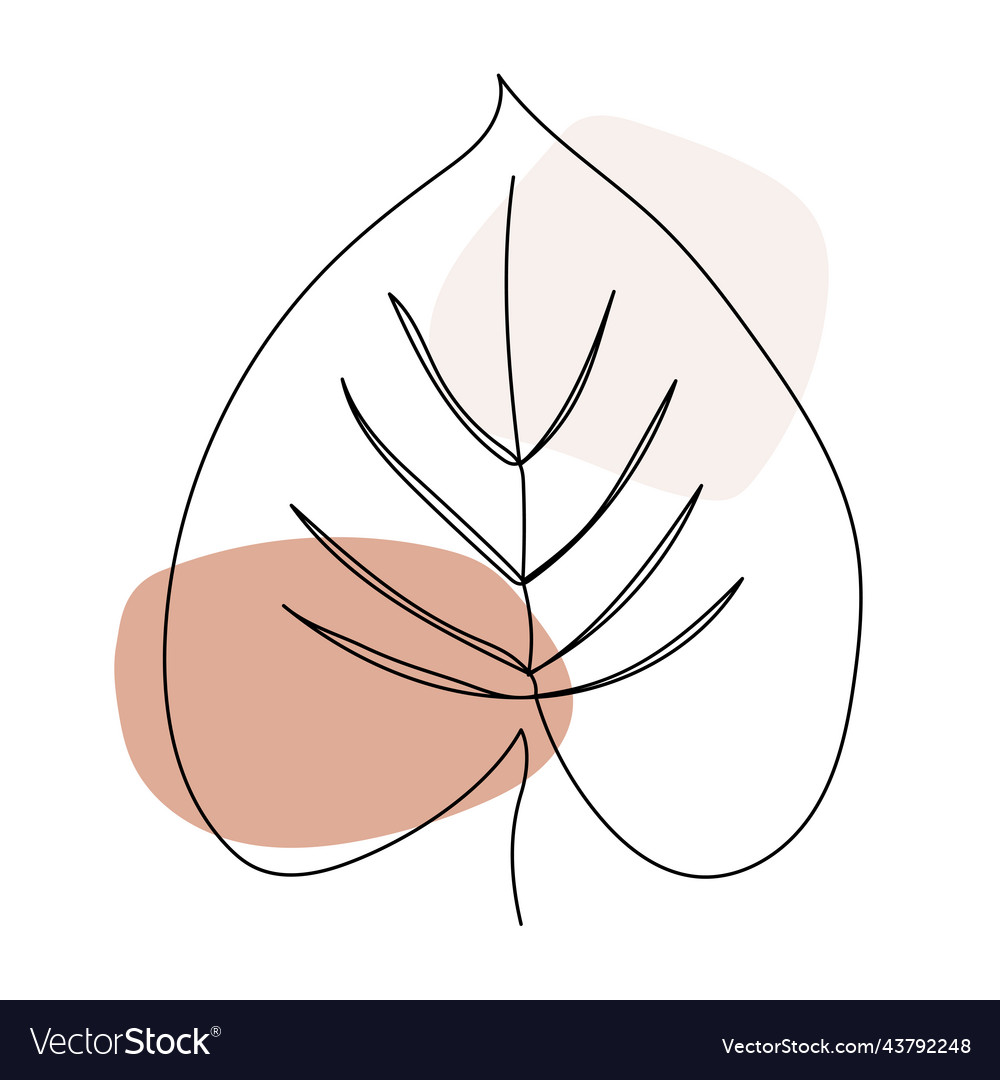 Plant Leaves Line Art Contour Drawing Minimalism Vector Image