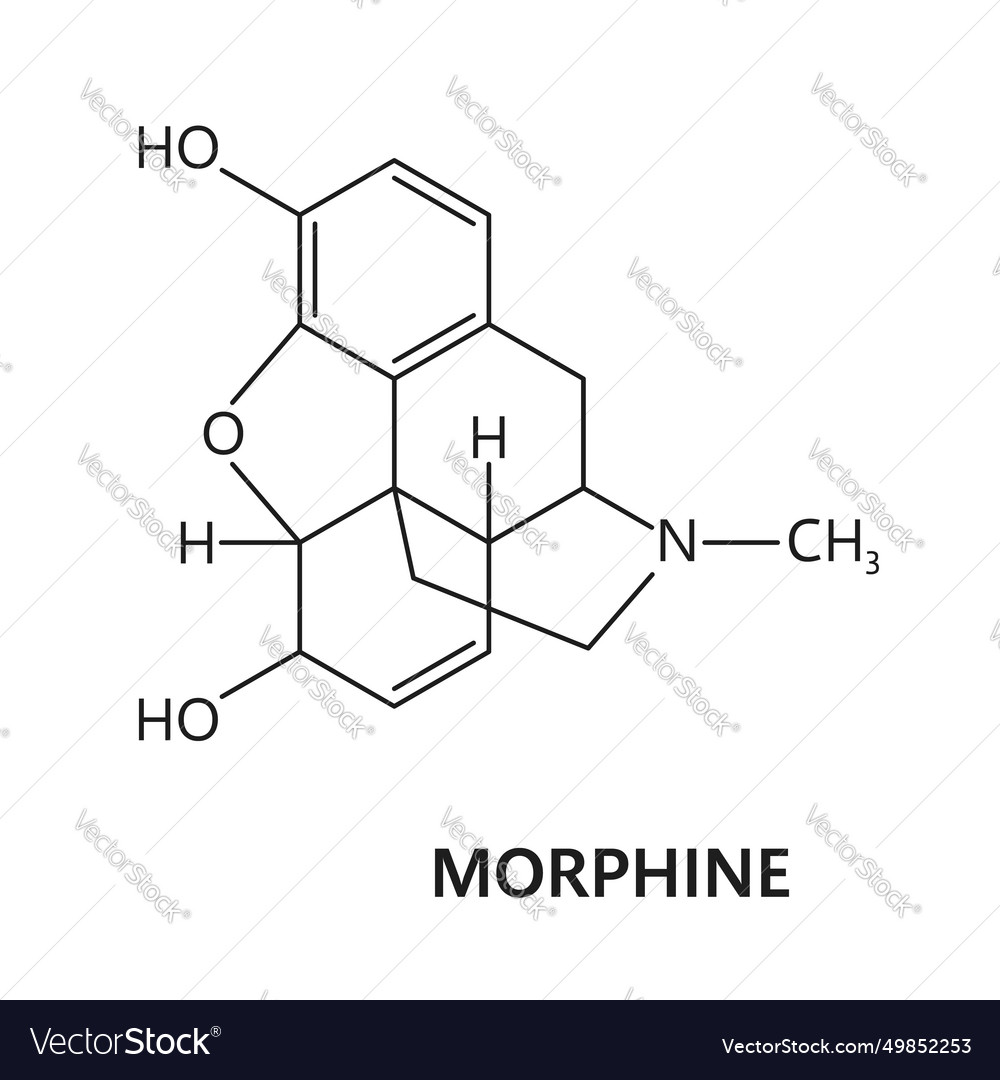 Morphine Drug Molecule Formula Chemical Structure Vector Image