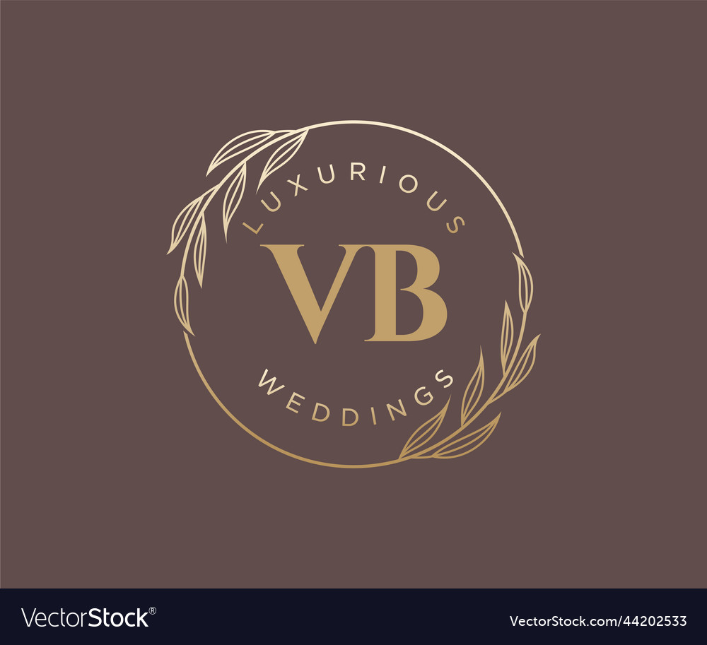 Vb Initials Letter Wedding Monogram Logos Vector Image