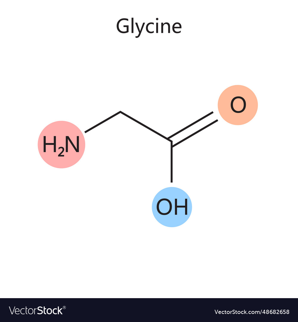 Chemical Formula Glycine Diagram Medical Science Vector Image