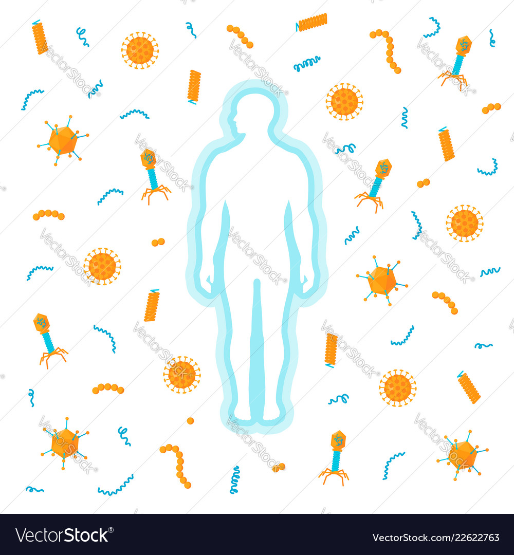 Immune System Concept Royalty Free Vector Image