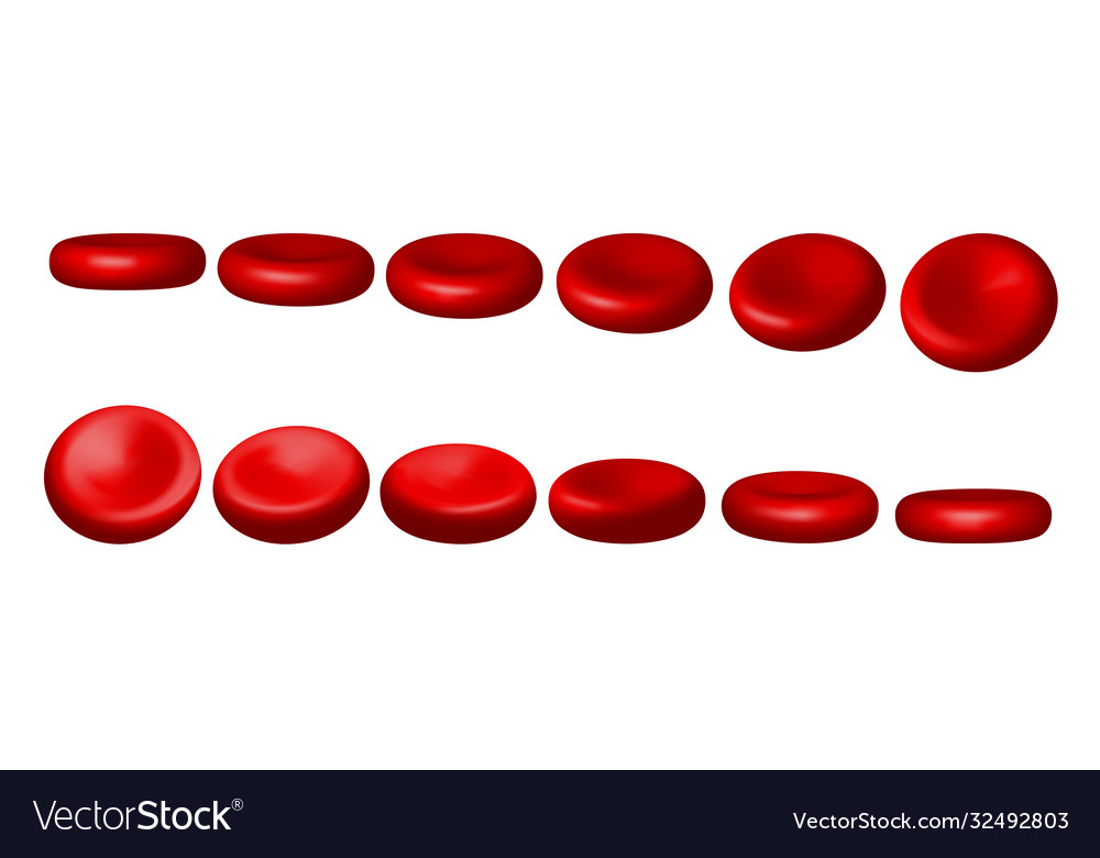 Red Blood Cells Set Erythrocytes In Various Vector Image