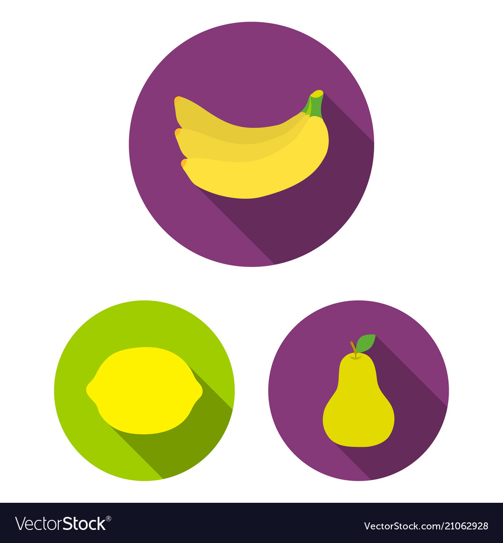 Different Fruits Flat Icons In Set Collection Vector Image