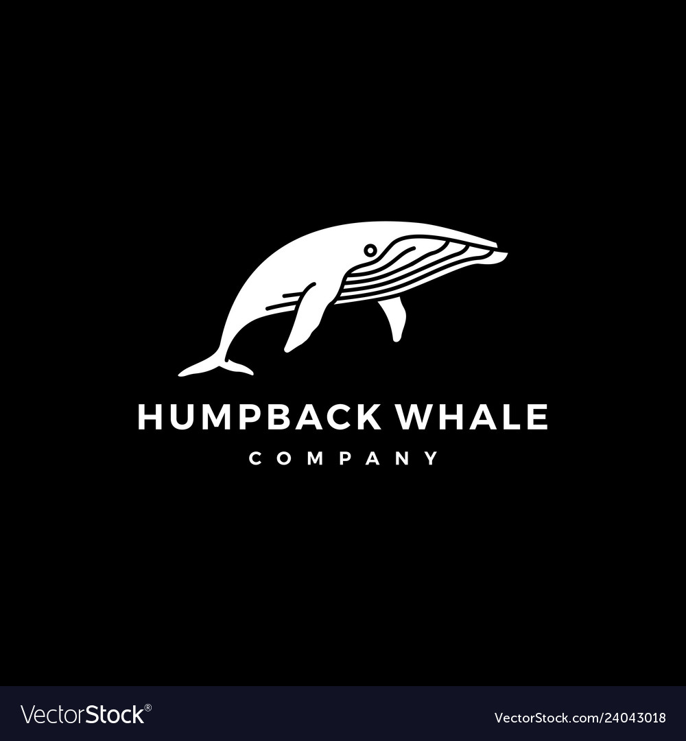 Humpback Whale Logo Icon Royalty Free Vector Image