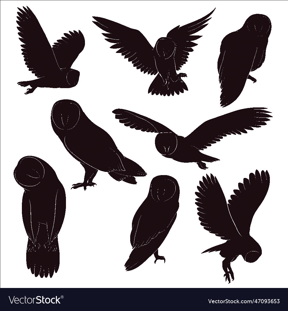 Hand Drawn Silhouette Of Owl Royalty Free Vector Image