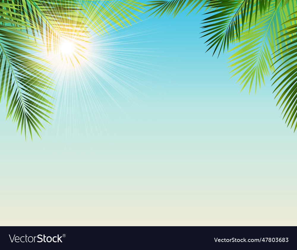 Tropical Banner With Tropical Leaves Royalty Free Vector