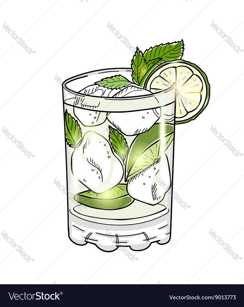 Hand Drawn Mojito Cocktail Isolated On White Vector Image