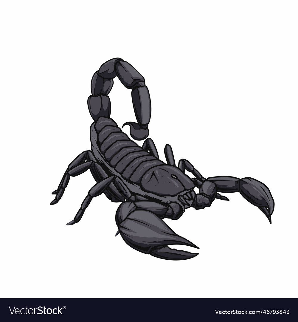 Scorpion Royalty Free Vector Image Vectorstock