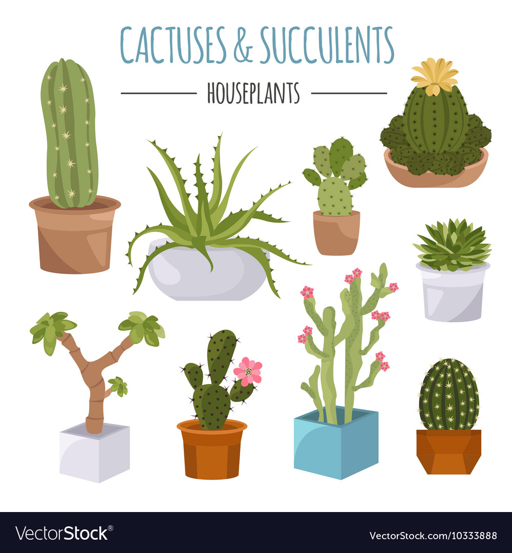 Cactuses And Succulents Icon Set Houseplants Vector Image