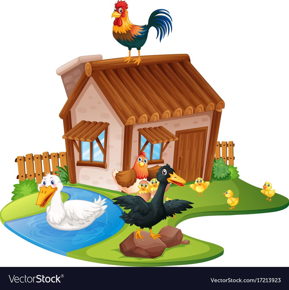 Ducks And Chickens On The Farm Royalty Free Vector Image