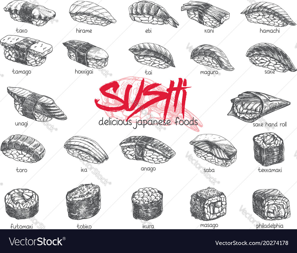 Hand Drawn Sushi Set Royalty Free Vector Image