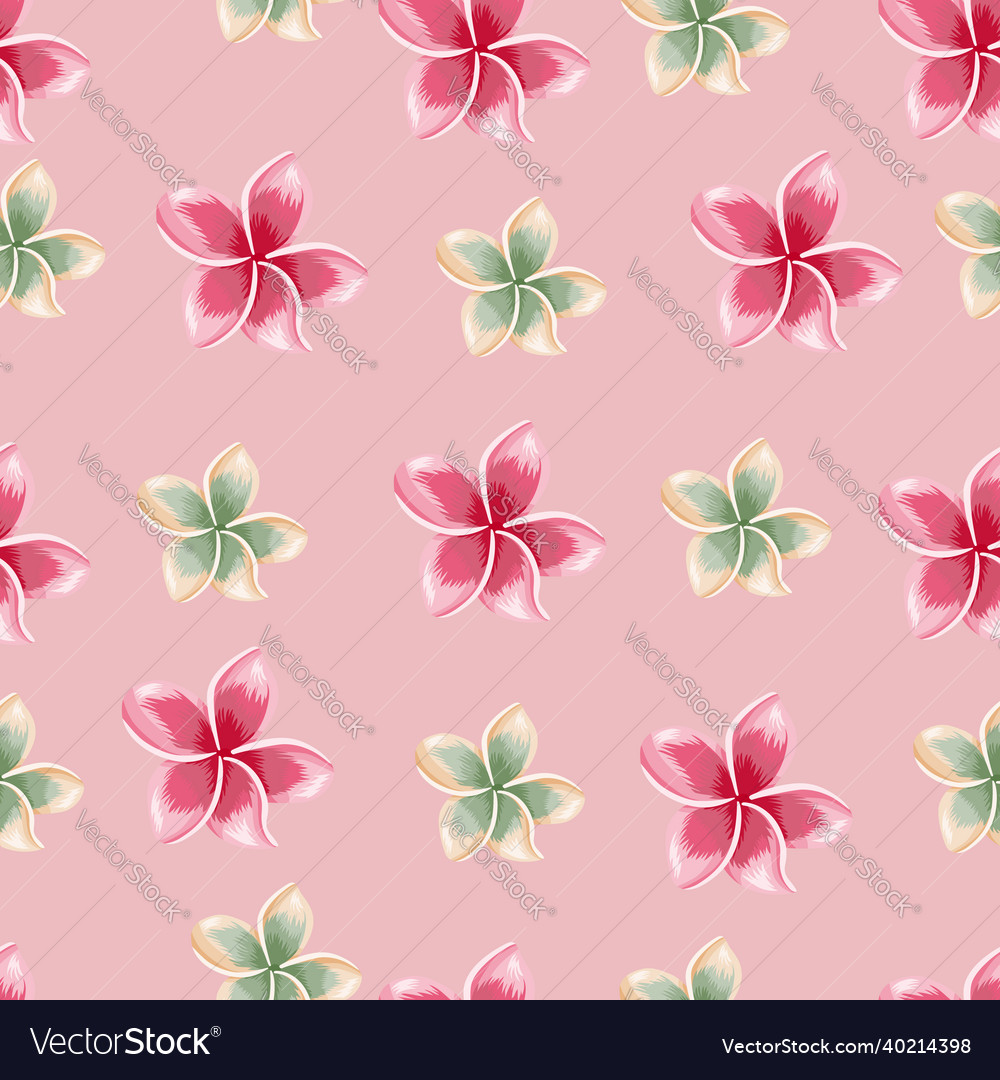 Exotic Blooming Plumeria Seamless Pattern On Pink Vector Image