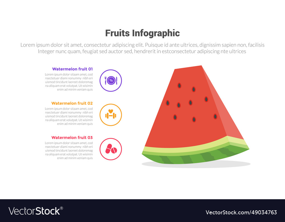 Fruit Fresh And Healthy Watermelon Infographics Vector Image