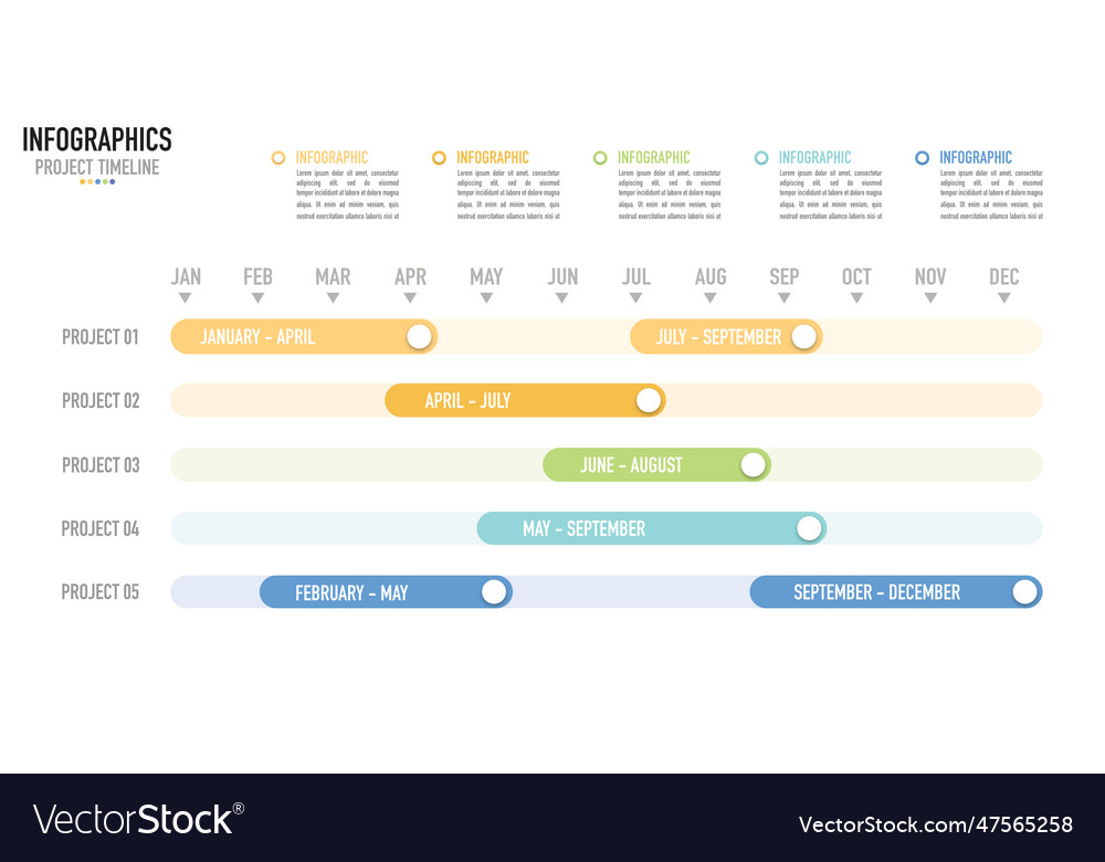 Gantt Chart Timeline Infographic For Business Vector Image