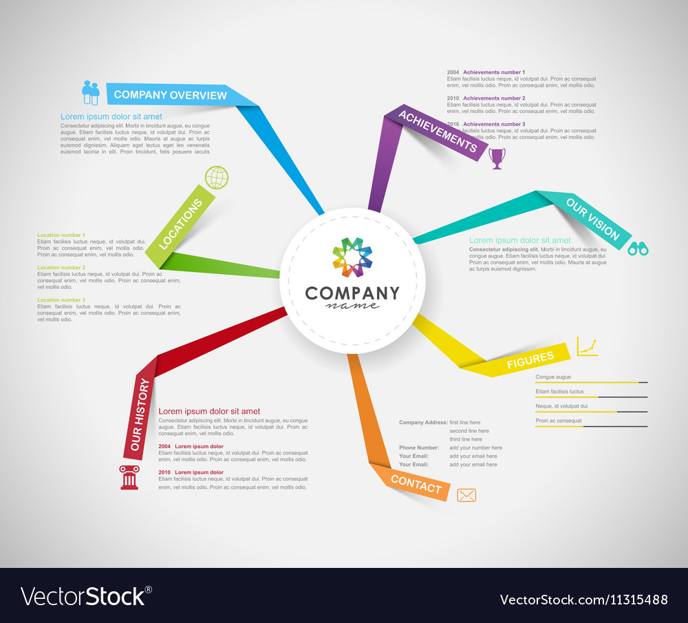 Company Infographic Overview Design Template Vector Image