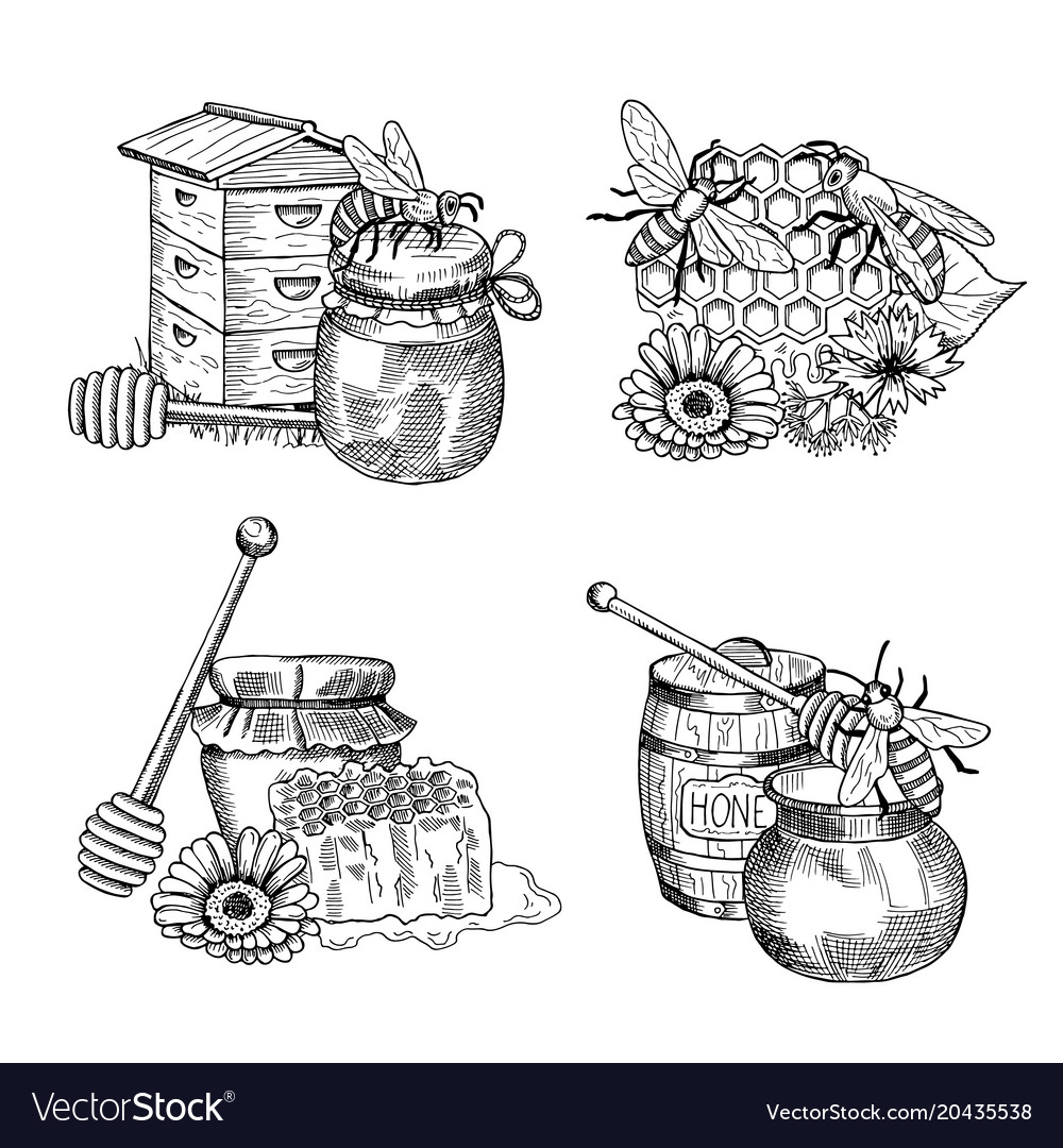 Piles Of Hand Drawn Honey Elements Set Royalty Free Vector