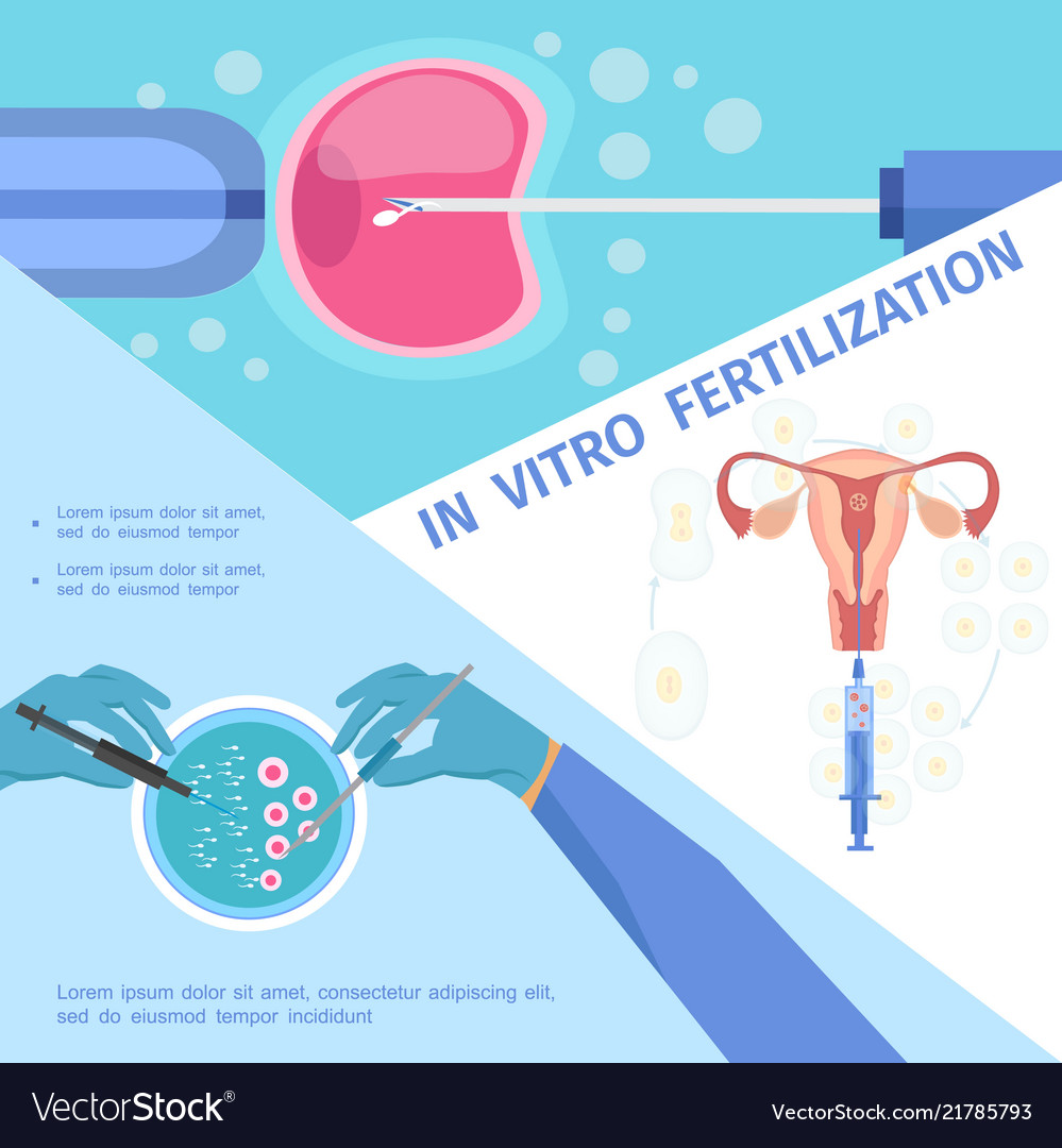 Sperm and egg not developing