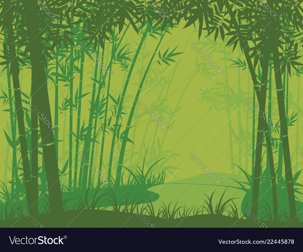 Bamboo Forest Scene Royalty Free Vector Image Vectorstock