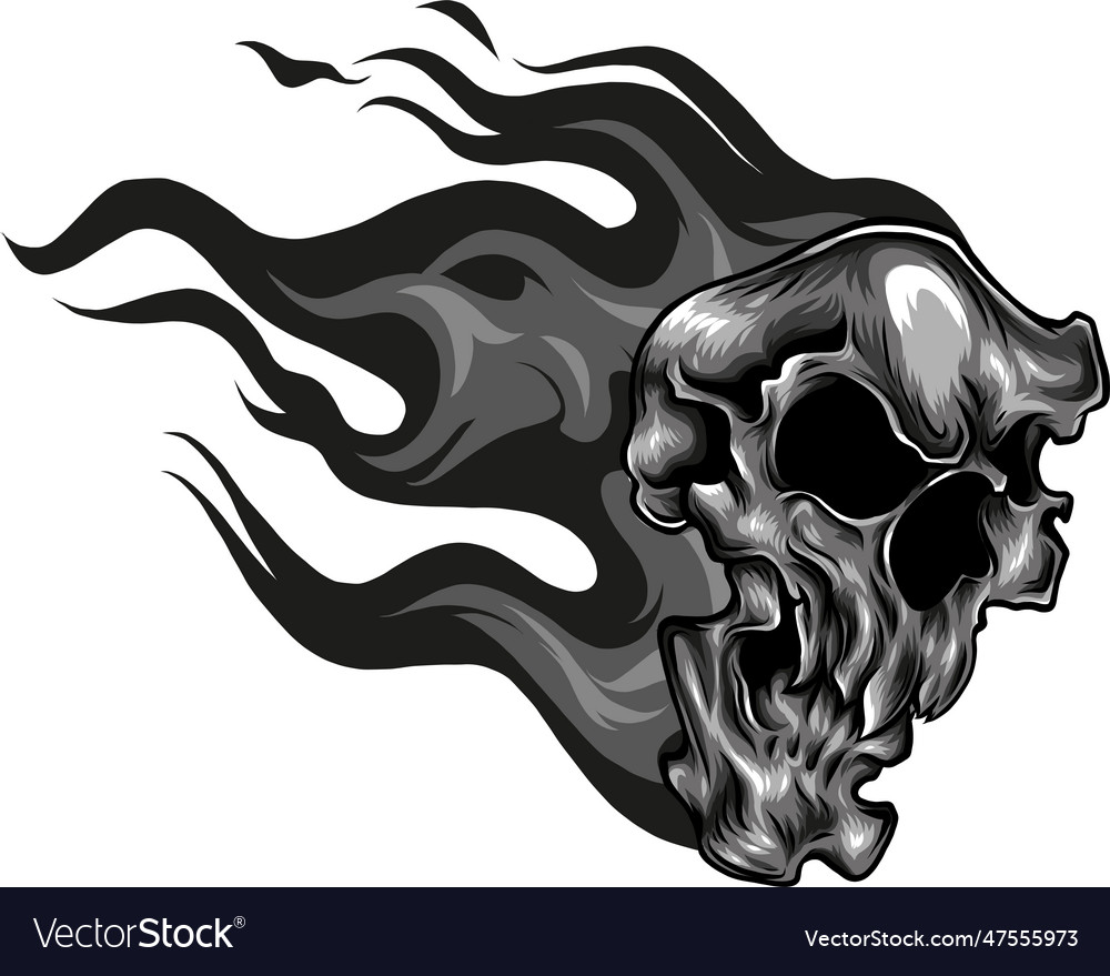 Skull On Fire With Flames Royalty Free Vector Image