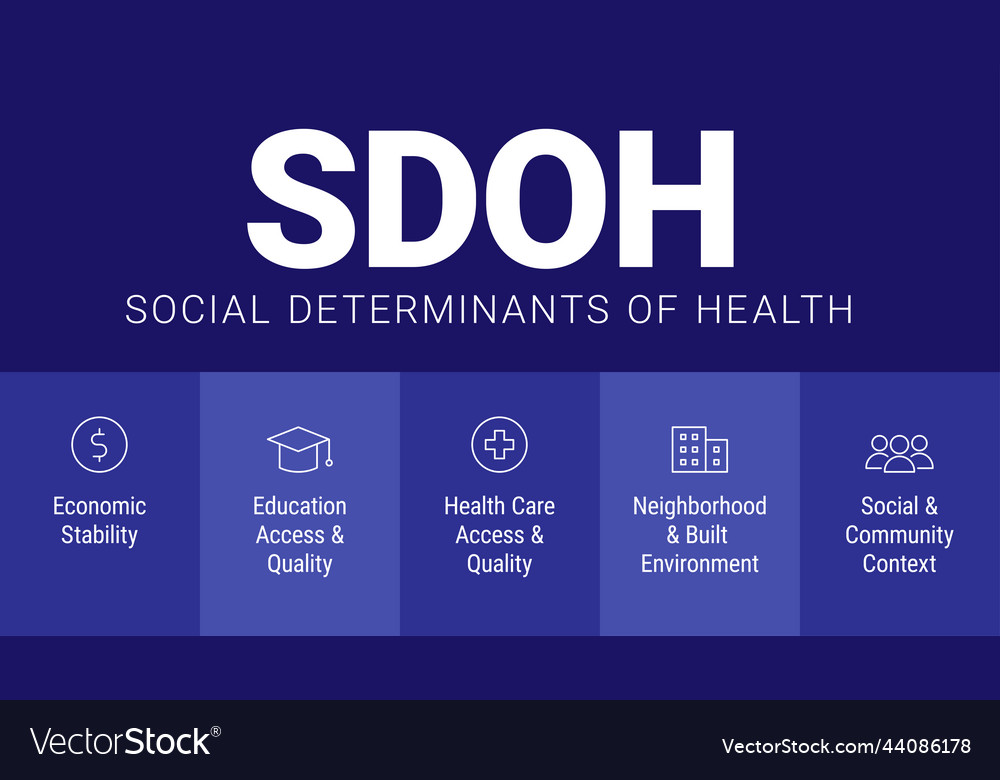 Sdoh Social Determinants Of Health Infographic Vector Image