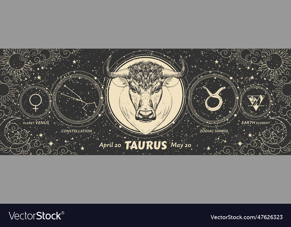 Taurus Zodiac Sign Vintage Astrology Graphic Vector Image