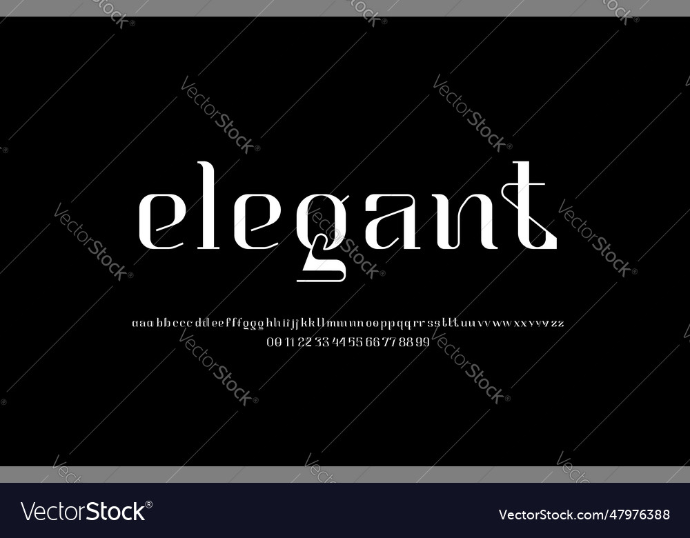 Elegant Beautiful Classic Alphabet Serif Font Vector Image