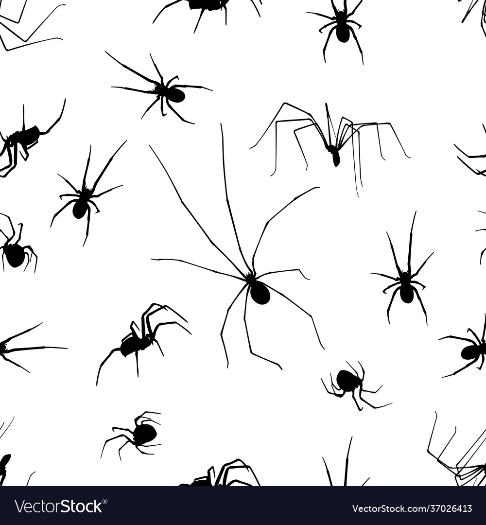 Seamless Spiders Royalty Free Vector Image Vectorstock