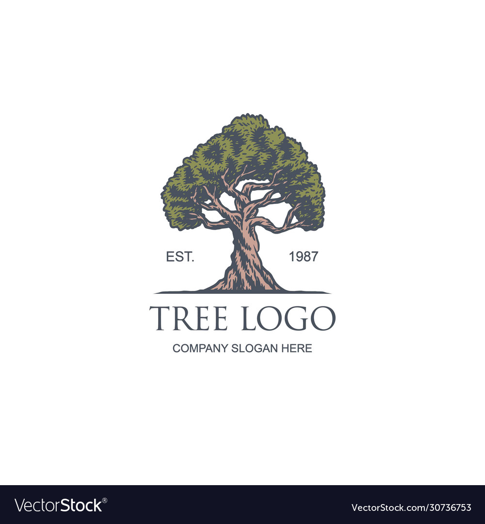 Vintage Tree Logo Design Templ Royalty Free Vector Image