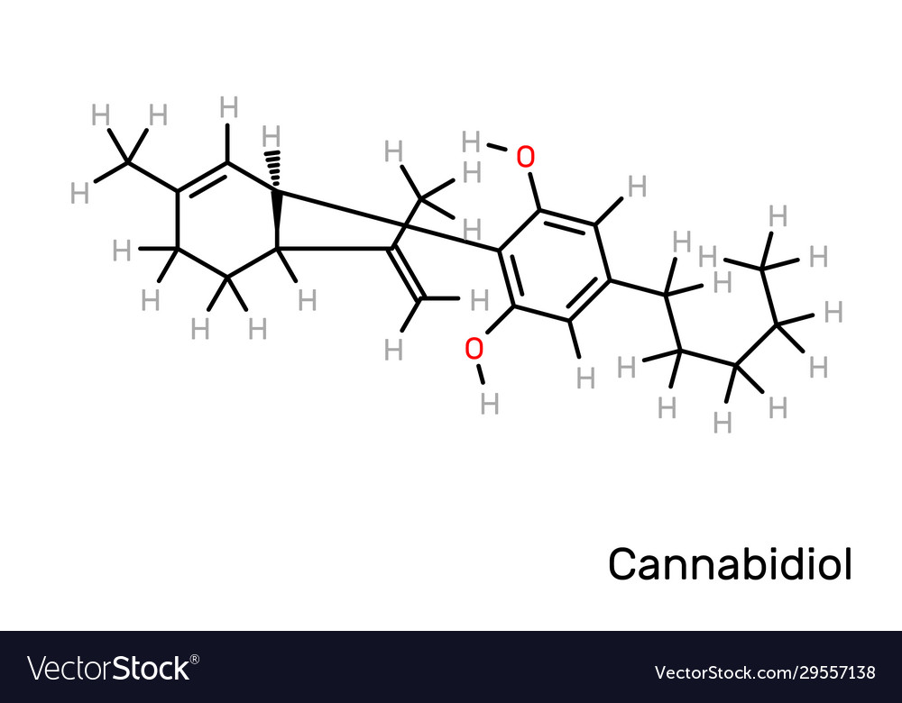 Cannabidiol Cbd Cannabis Structural Formula Vector Image