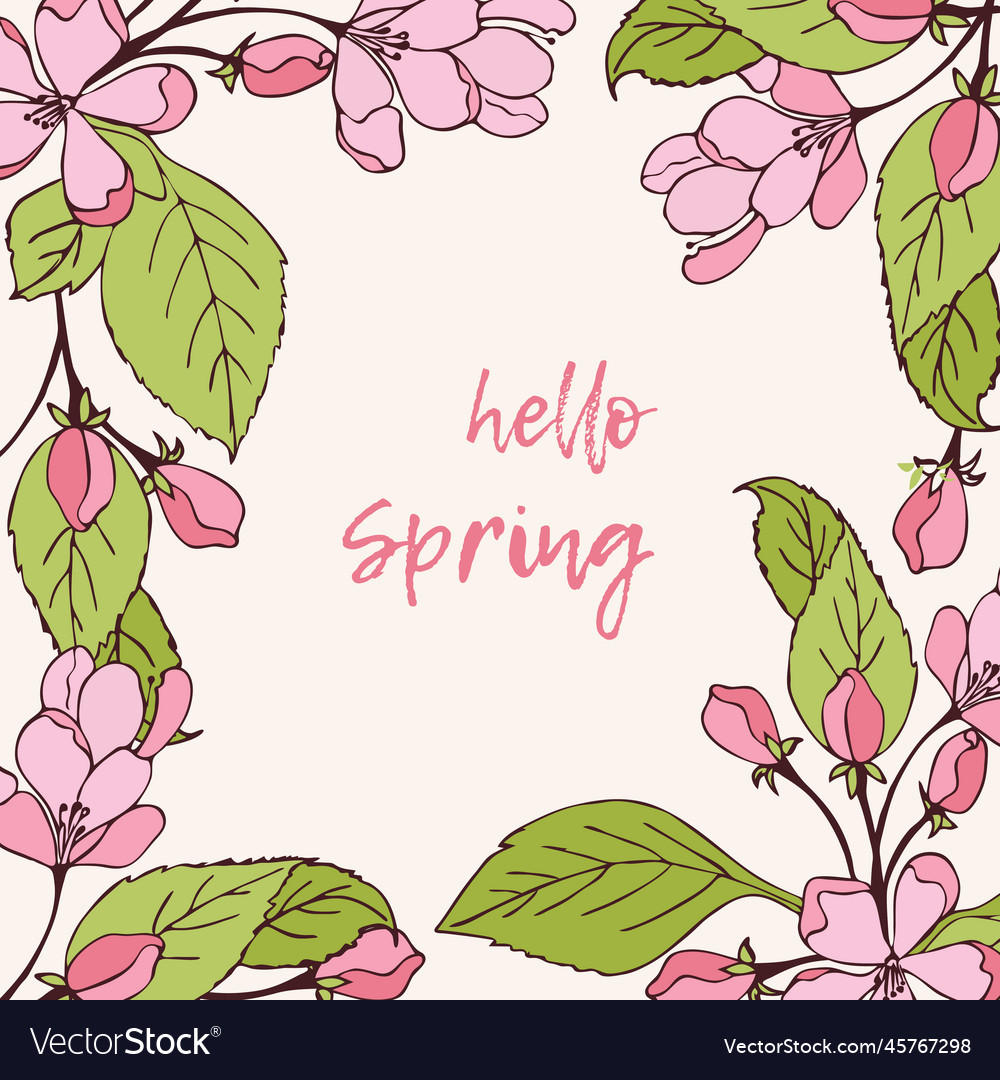 Hello Spring Banner With Pink Cherry Flowers Vector Image