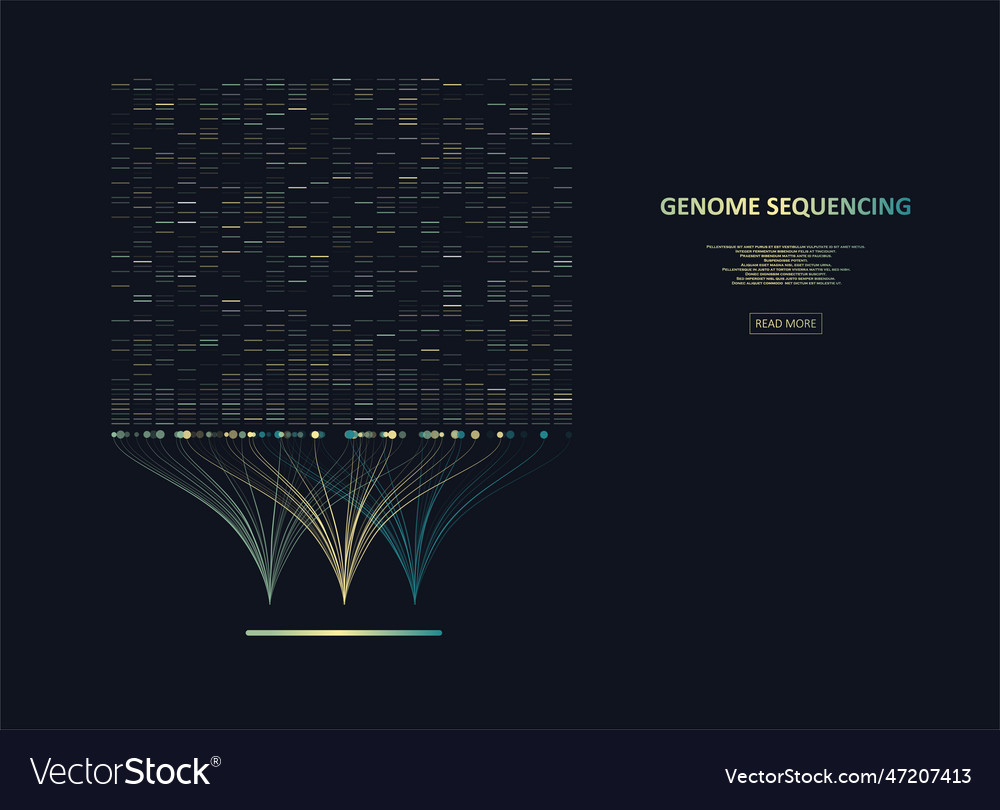 Big Genomic Data Visualization Royalty Free Vector Image