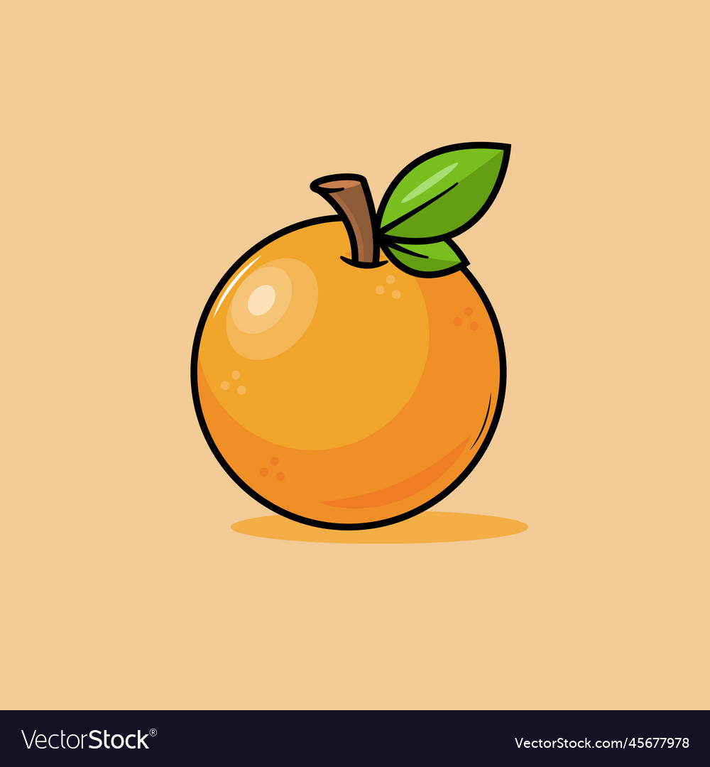 Orange Royalty Free Vector Image Vectorstock