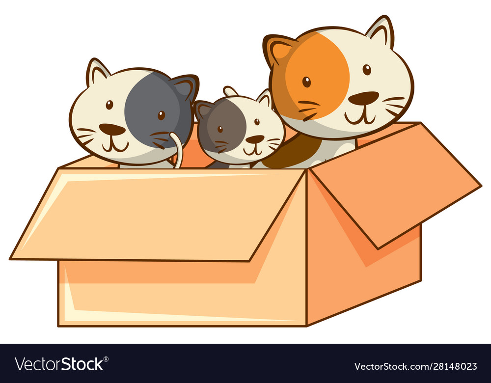 Cute Cats On White Background Royalty Free Vector Image