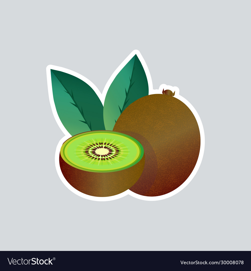 Fresh Juicy Kiwi Sticker Tasty Ripe Fruit Icon Vector Image