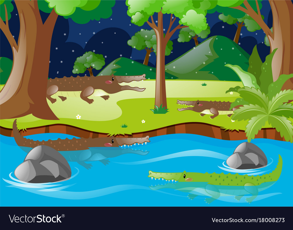 Crocodiles In River And On Land Royalty Free Vector Image