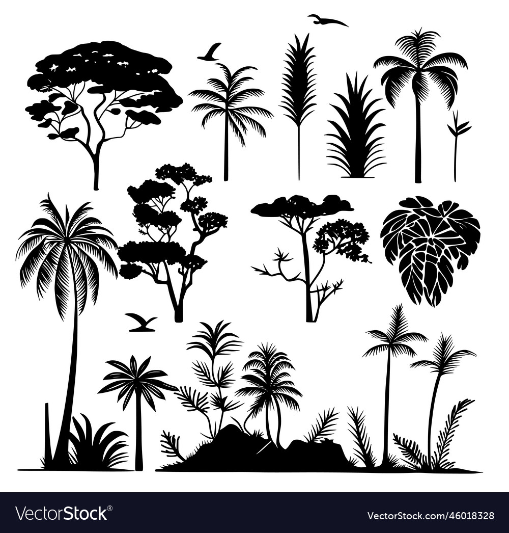 Tropical Trees Silhouette Royalty Free Vector Image