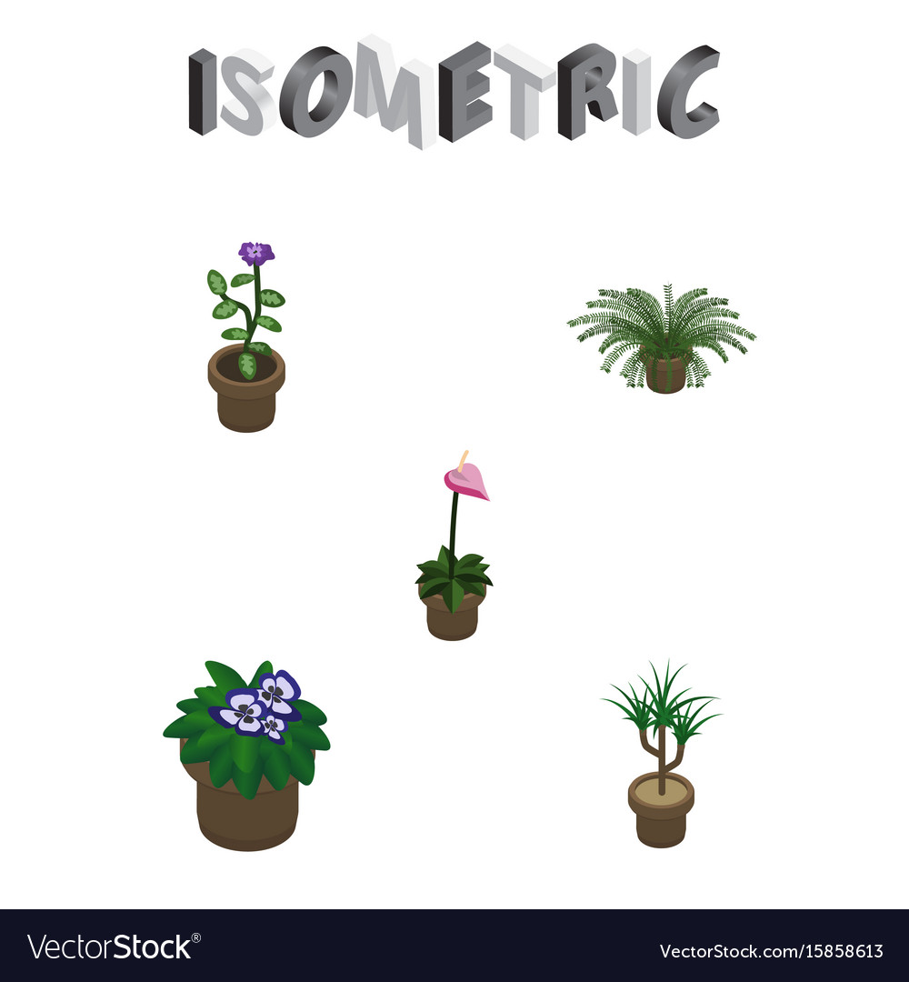 Isometric Plant Set Grower Flower Flowerpot Vector Image