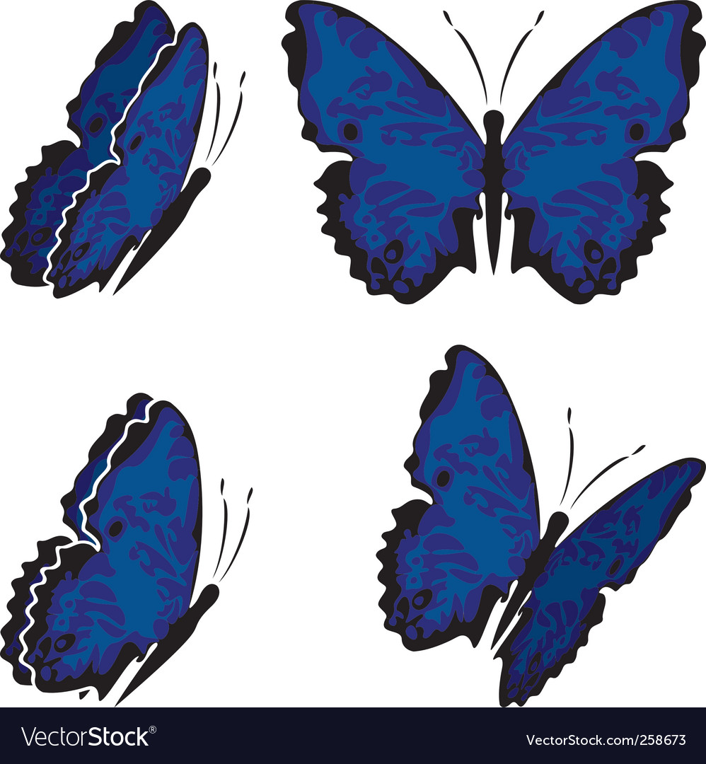 Butterfly Royalty Free Vector Image VectorStock