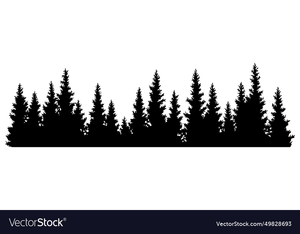 Fir Trees Silhouette Coniferous Spruce Horizontal Vector Image